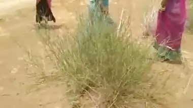 Sexy Reel collection